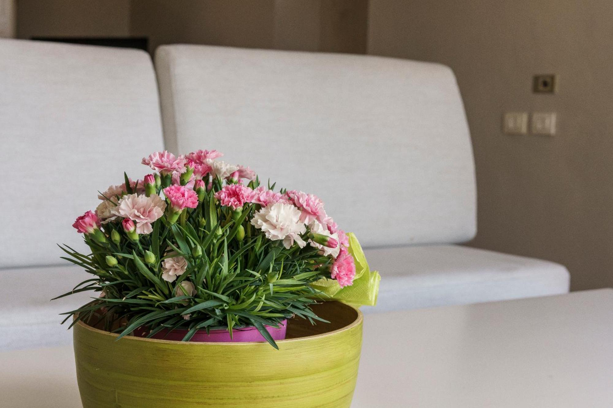 Borgo Albizi Penthouse - 360 Terrace View Apartment Florence